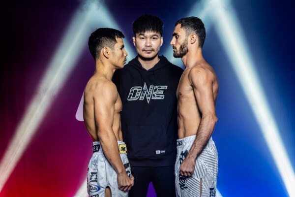 Описание изображения